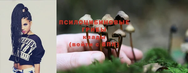 стафф Краснослободск