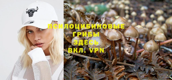 мет Коряжма