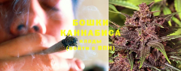 стафф Краснослободск